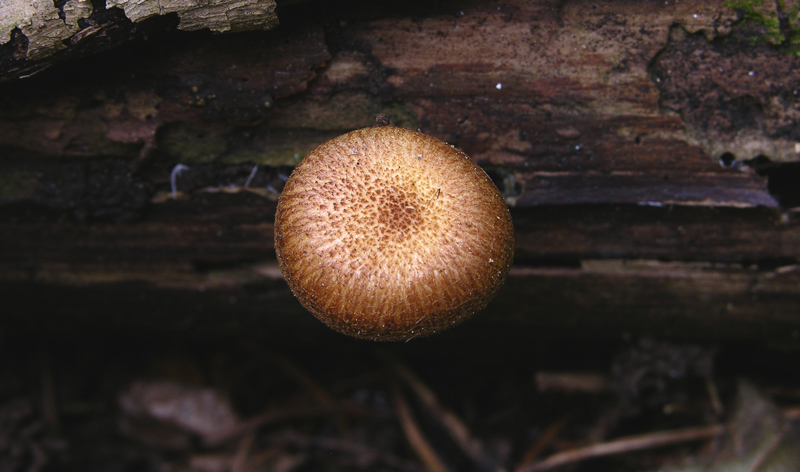 Facili,meno facili...per allenamento...